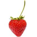 cuore_online cuore_online