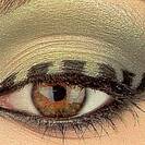 Elektra863 Elektra863